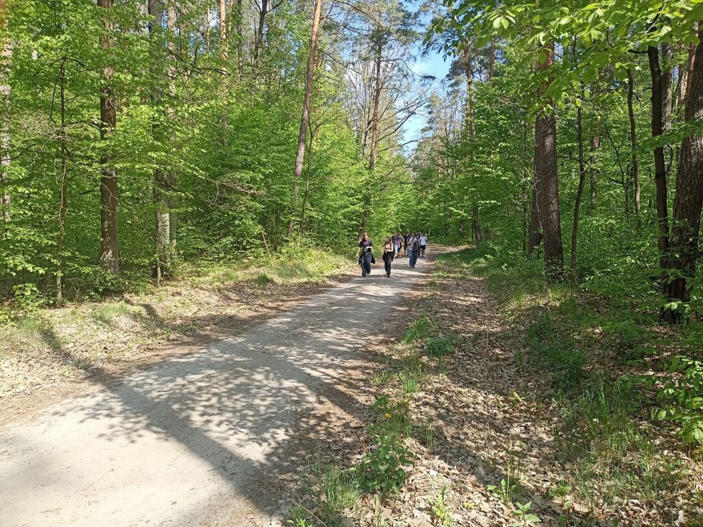 Grupa idących uczniów z PSP 3 Kozienice podczas rajdu pieszego do "Królewskich Źródeł"