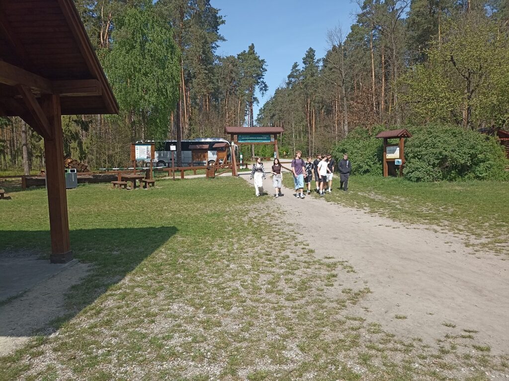 Grupa idących uczniów z PSP 3 Kozienice podczas rajdu pieszego do "Królewskich Źródeł"