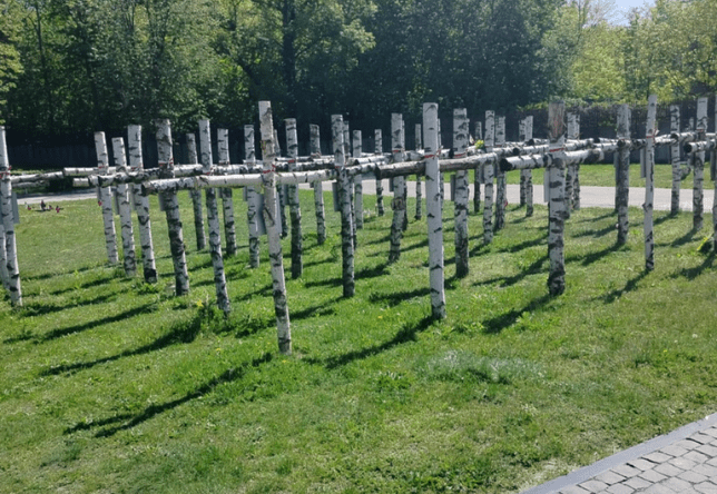 zdjęcie przedstawia mogiły poległych