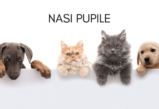 Nasi pupile
