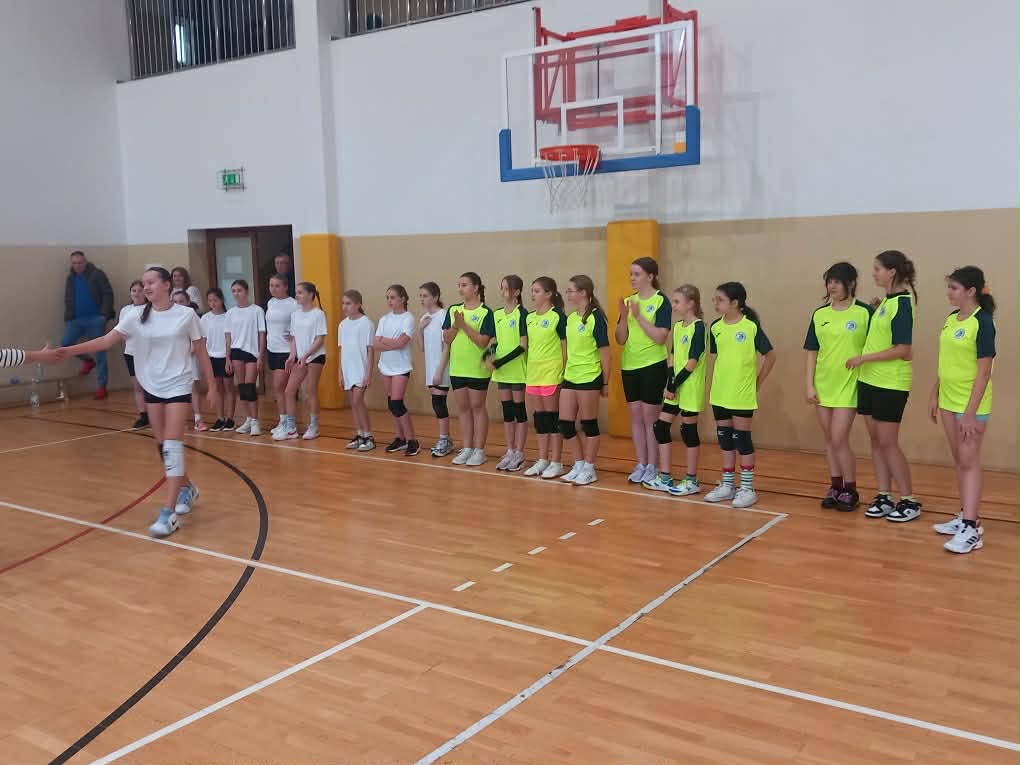 Drużyna siatkarek 