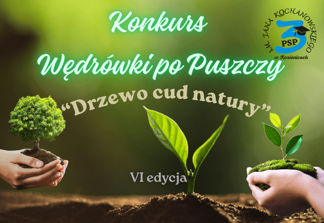 Konkurs