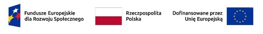 Napisy: Fundusze Europejskie dla Rozwoju Społecznego, Rzeczpospolita Polska, Dofinansowane przez Unię Europejską